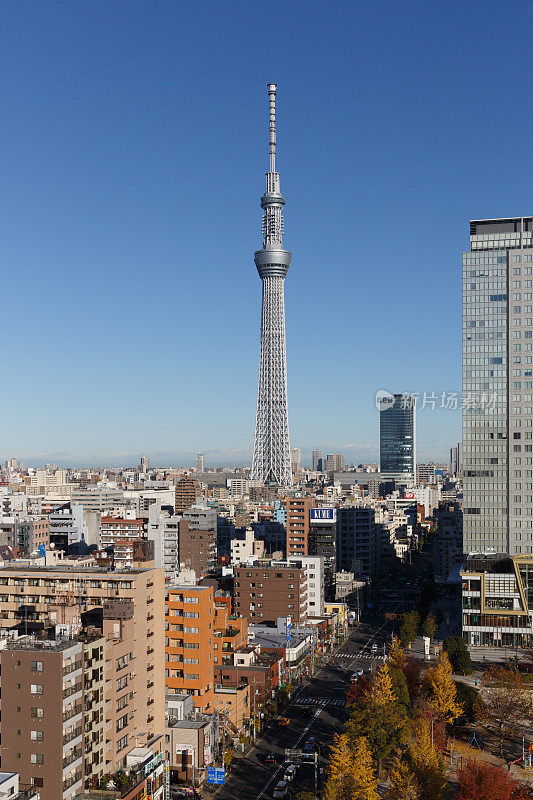 日本的东京天空树