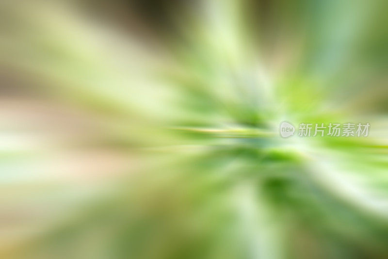 模糊的背景抽象，柔和的绿色色调，植物派生模糊，全帧