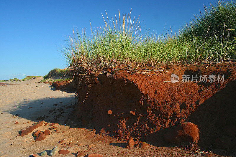 红海滩