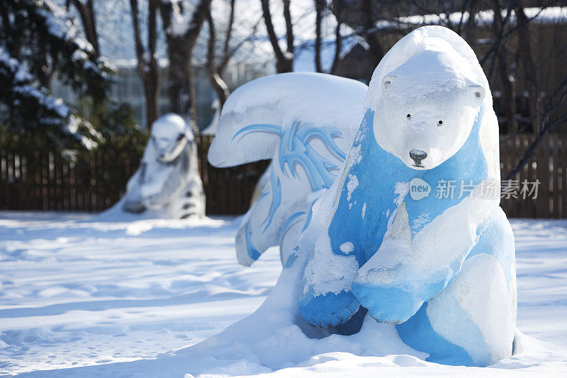 温尼伯熊