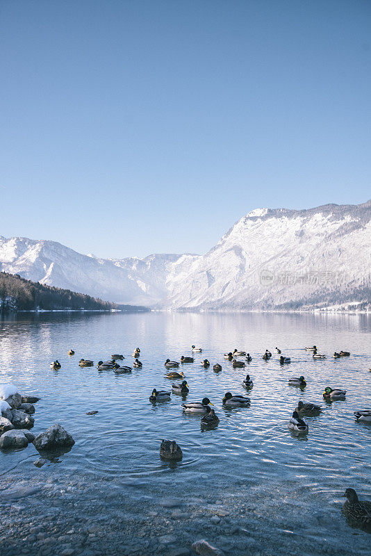 Bohinj湖的冬天