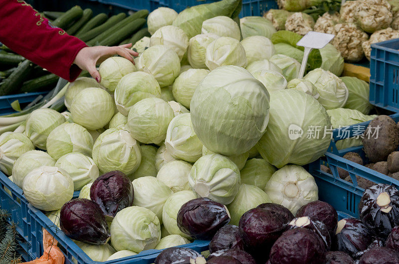 市场上的各种卷心菜