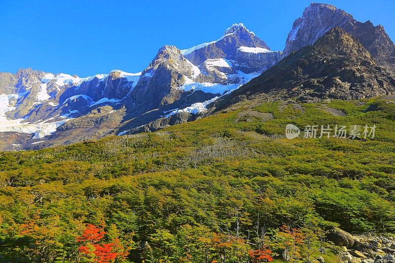 奎尔诺斯德尔佩恩法国山谷峰，智利巴塔哥尼亚森林景观