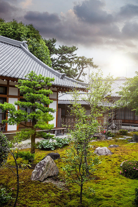 日本京都的春寺