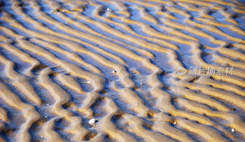 海滩上的湿沙呈波浪状。