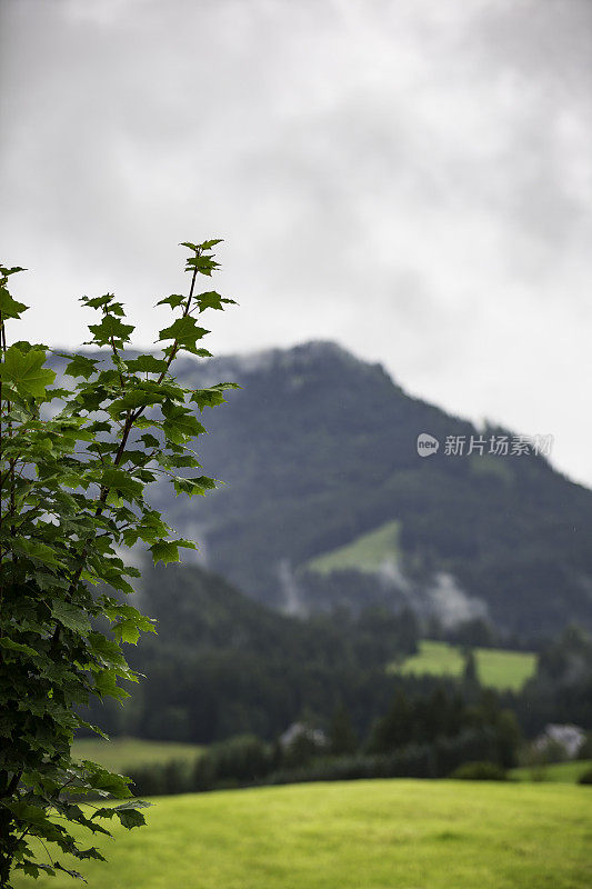 云中阿尔卑斯山山脉的全景