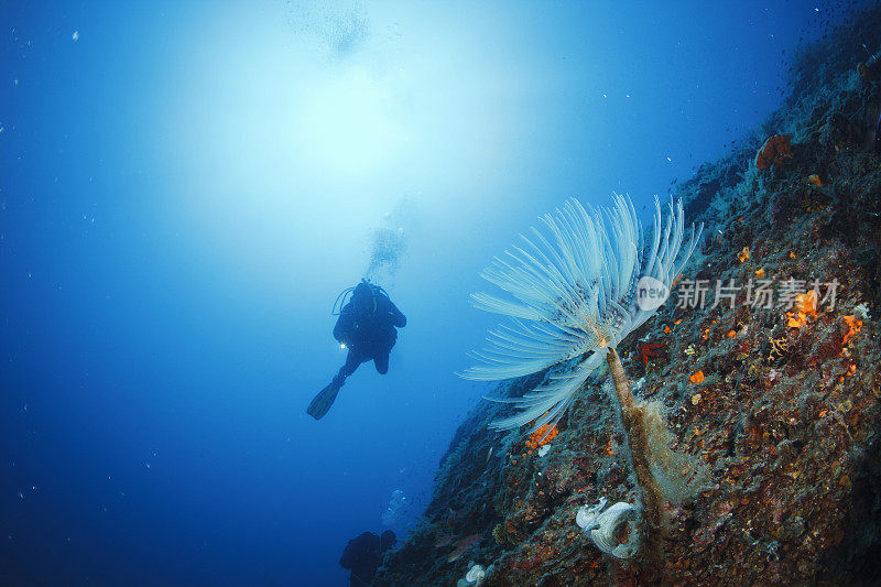 潜水冒险。资深的潜水员，潜入大海。水下碧绿的泻湖，欢乐化为晶莹剔透的大海。地中海海滩。夏天。希腊,希腊的岛屿。