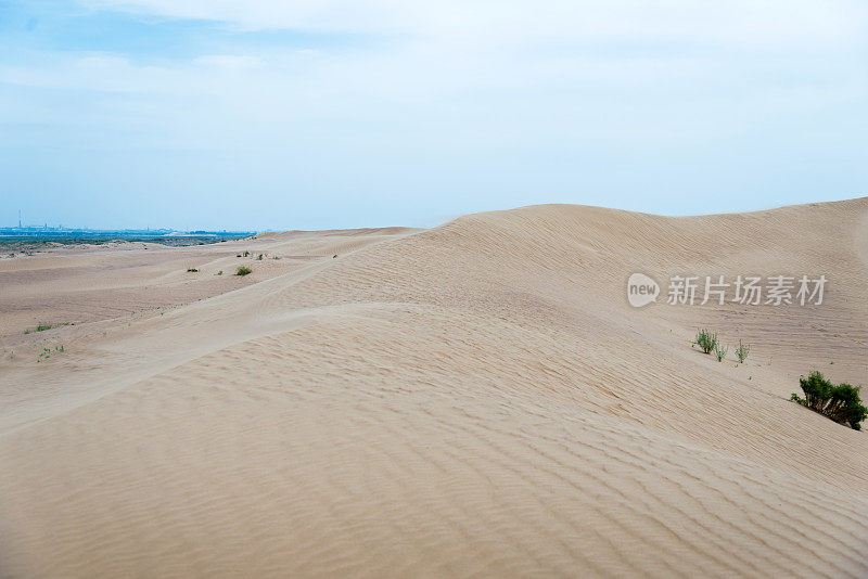 以海浪为背景