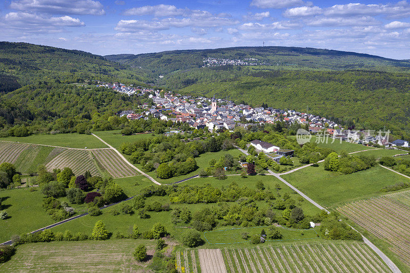 Eltville-Rauenthal，德国-鸟瞰图