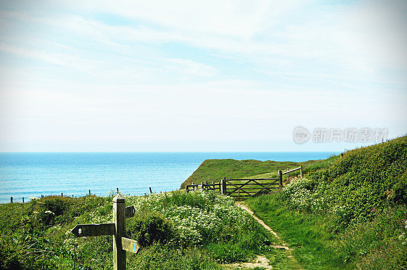 风景优美的悬崖和风景与海的背景在康沃尔