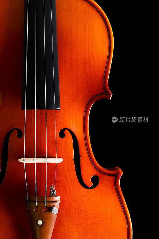 黑色背景下的小提琴
