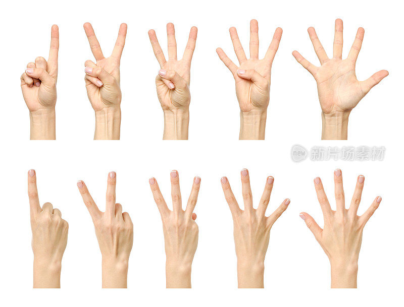 女性的手从一数到五孤立的白色背景