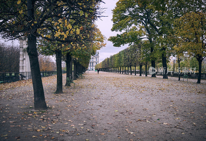 法国巴黎的杜伊勒里公园