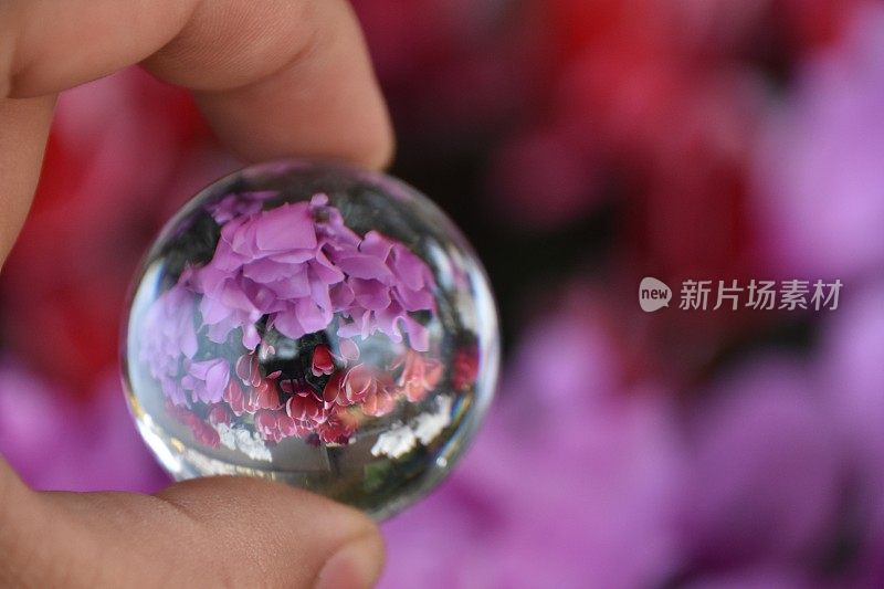花透过水晶球