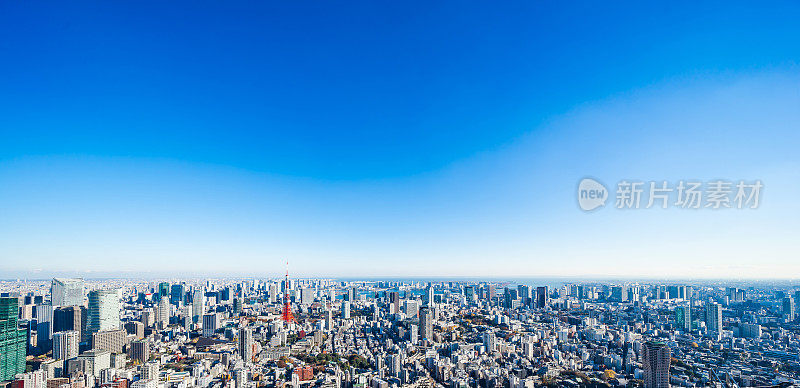 全景现代城市天际线鸟瞰东京塔