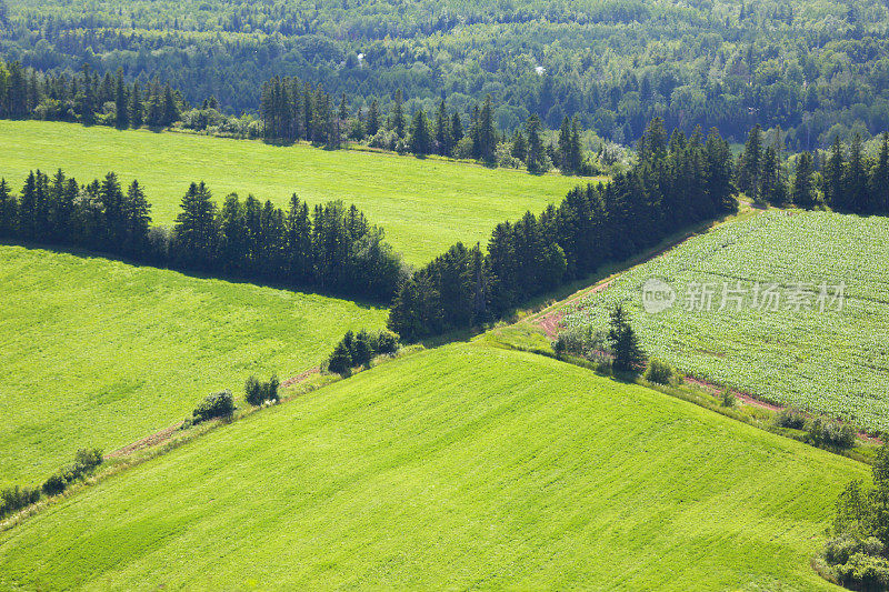 加拿大新斯科舍省皮克图县绿山公园的风景