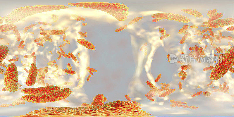 耐药细菌克雷伯氏菌生物膜内的球形全景图
