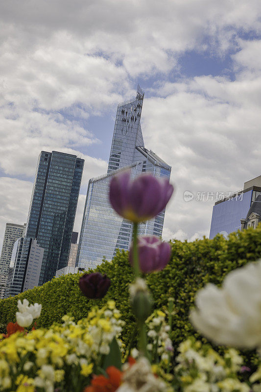 法国巴黎，花后的拉德芳斯春景