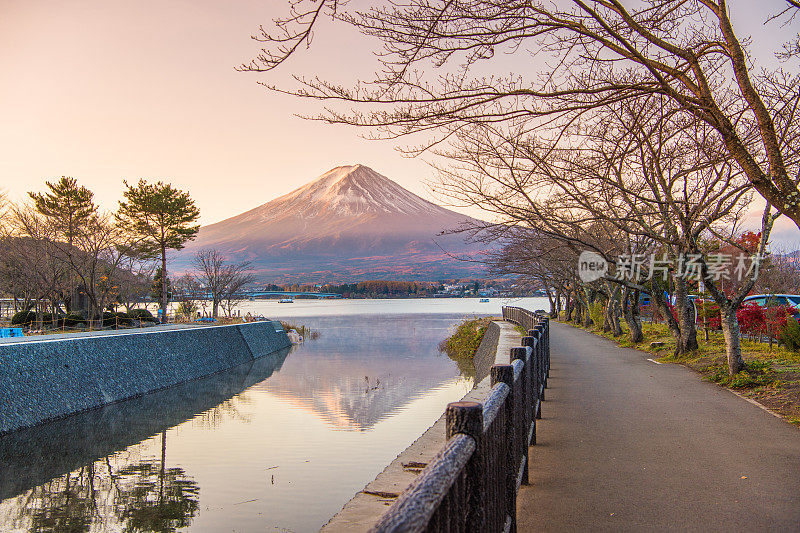 早晨的富士山和川口湖，秋季的富士山在山町。