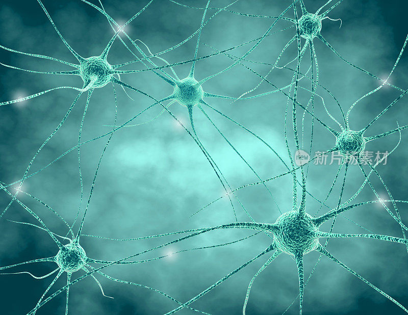 人类神经系统。神经细胞与突触和神经递质3D插图。