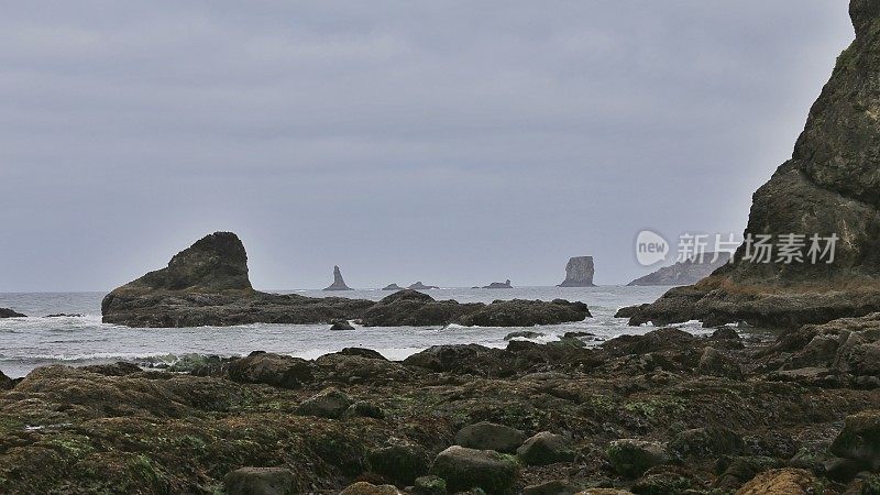 奎利尤特针，岩岸，奥林匹克海岸线，华盛顿