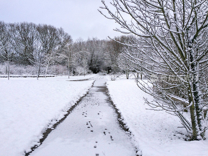 萨尔布鲁公园的雪。威托利亚-加斯泰兹。西班牙