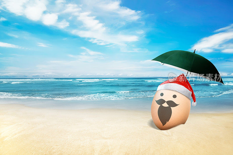 在海滩上戴着圣诞帽的鸡蛋