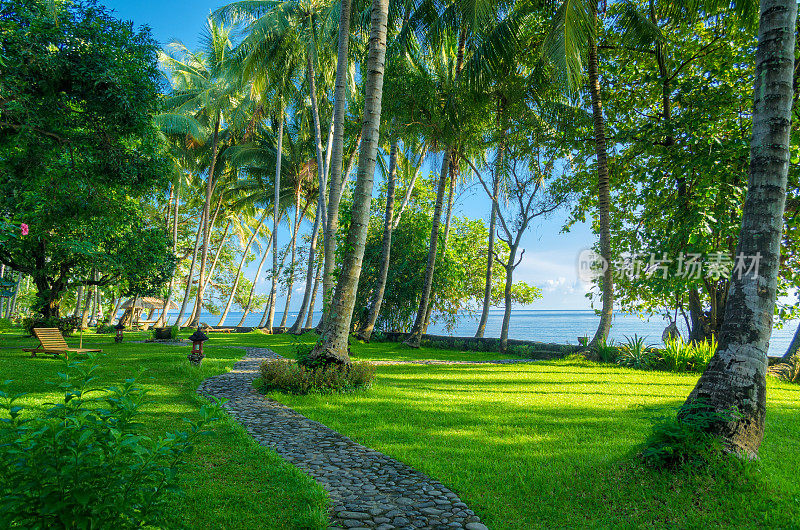 巴厘岛-棕榈树和观赏海洋与绿色草地在日出放松