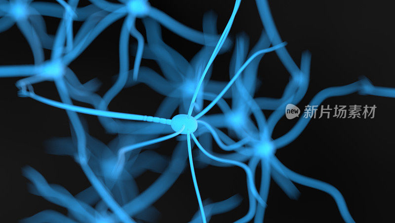 神经细胞。突触和神经元细胞发送化学电信号