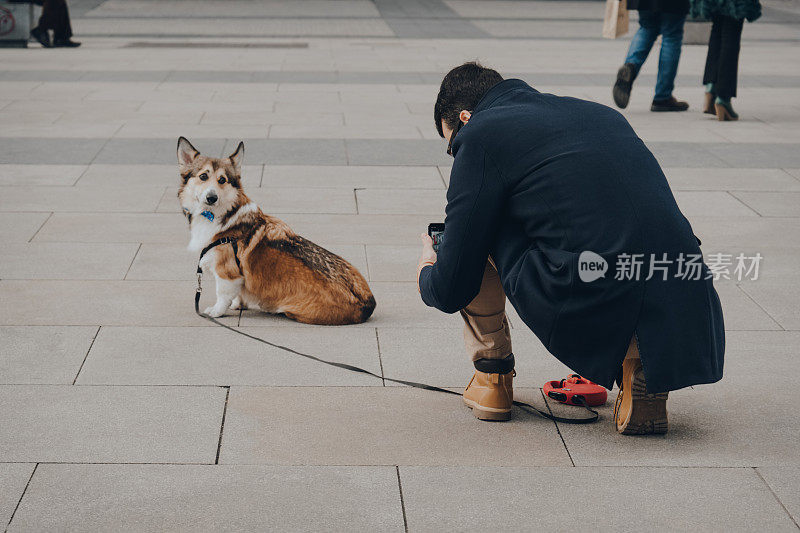 西班牙马德里，一名男子在大街上给自己的柯基犬拍照，选择性聚焦。