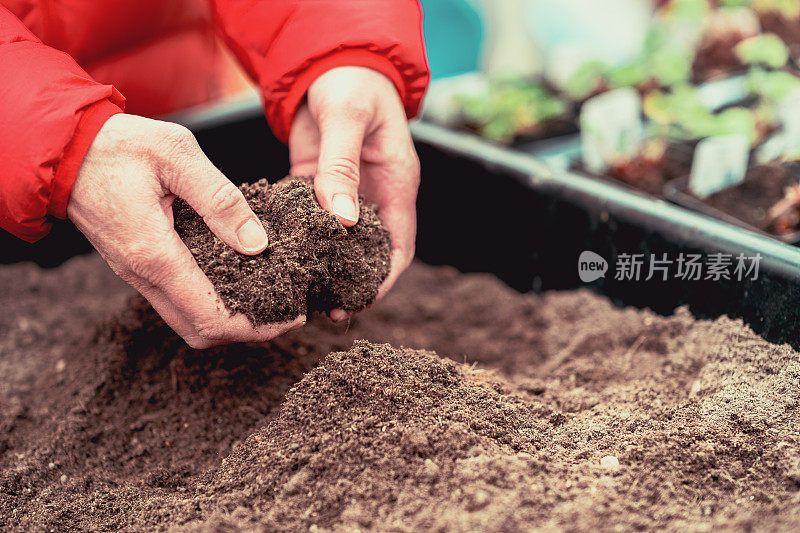 妇女准备堆肥盆栽幼苗