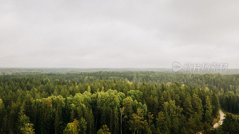 森林和天空景观在瑞典无人机图像
