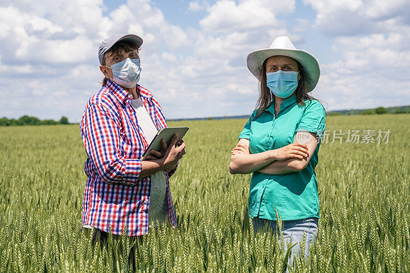 一个农民家庭的肖像，微笑着看着相机，站在麦田中间。在COVID-19大流行期间工作。农业职业。家族企业。
