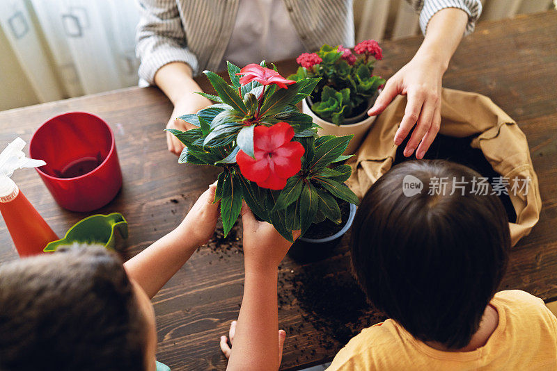 母亲和孩子在家里种植