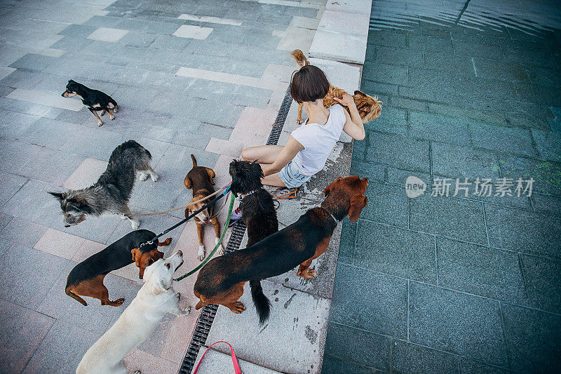 在城市里，穿着旱冰鞋的宠物保姆喜欢和一群狗狗拥抱