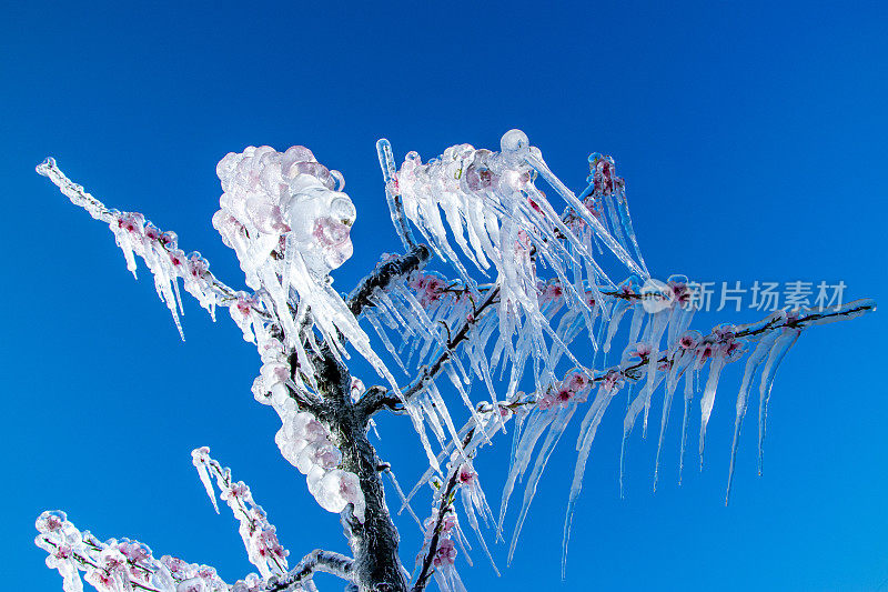 蓝天下的雨夹雪