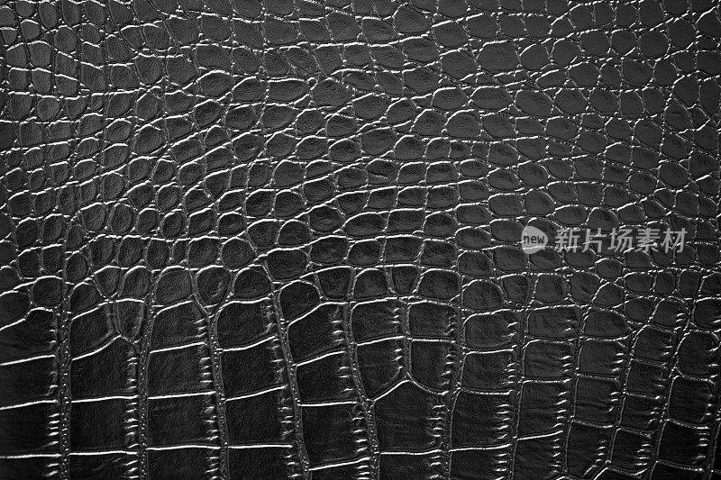 黑色鳄鱼皮纹理皮肤鳄鱼动物图案豪华背景微距摄影