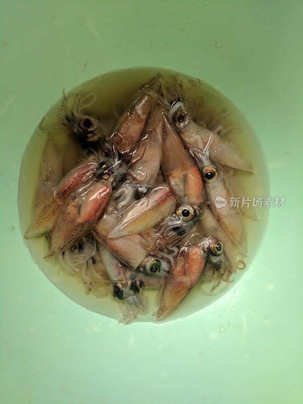 一碗死的萤火虫鱿鱼，Hotaru-ika或闪光鱿鱼