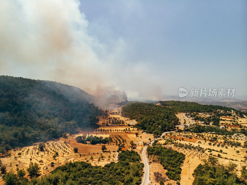 鸟瞰图土耳其博德鲁姆红松林火灾
