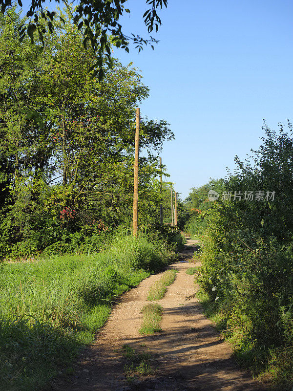 乡间小路