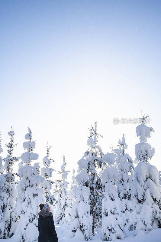 芬兰雪林之旅