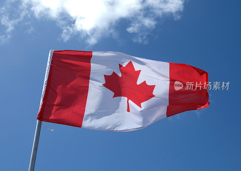 加拿大国旗挥舞着