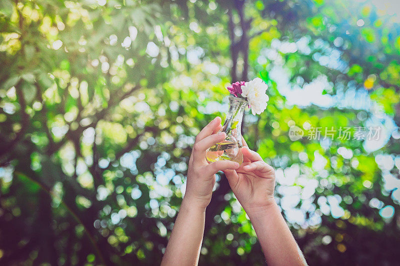 有趣的抽象，孩子的手举着一个迷你花瓶的花对着太阳