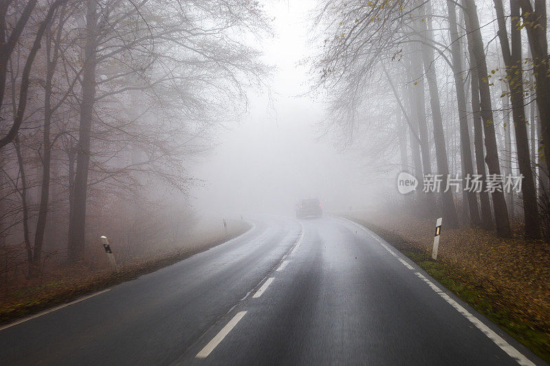 秋天的路穿过森林的雾