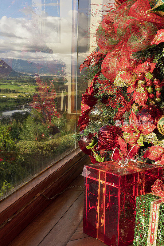 圣诞节装饰的一个房子的客厅