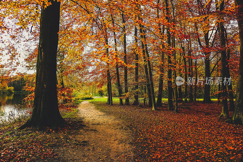 秋天，一条穿过湖边森林的小路。