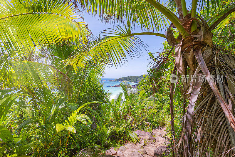 印度洋群岛，塞舌尔岛，拉迪格岛，热带海滩佩蒂昂斯，雕刻花岗岩和棕榈树。