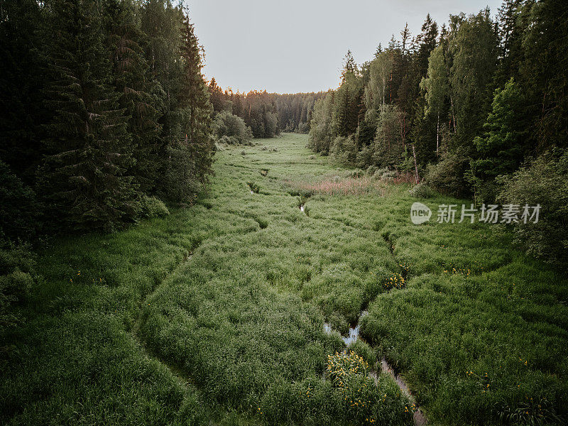 鸟瞰阿哈河在森林和树木之间