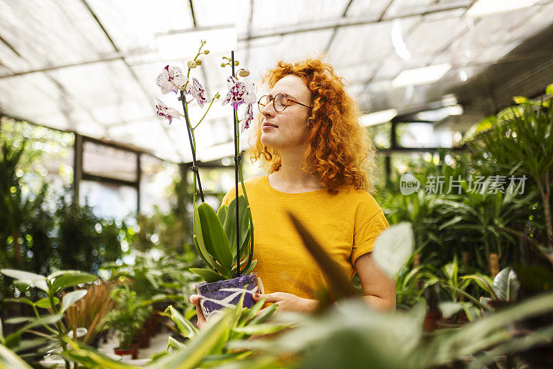 美丽的女人选择一种有香味的植物回家