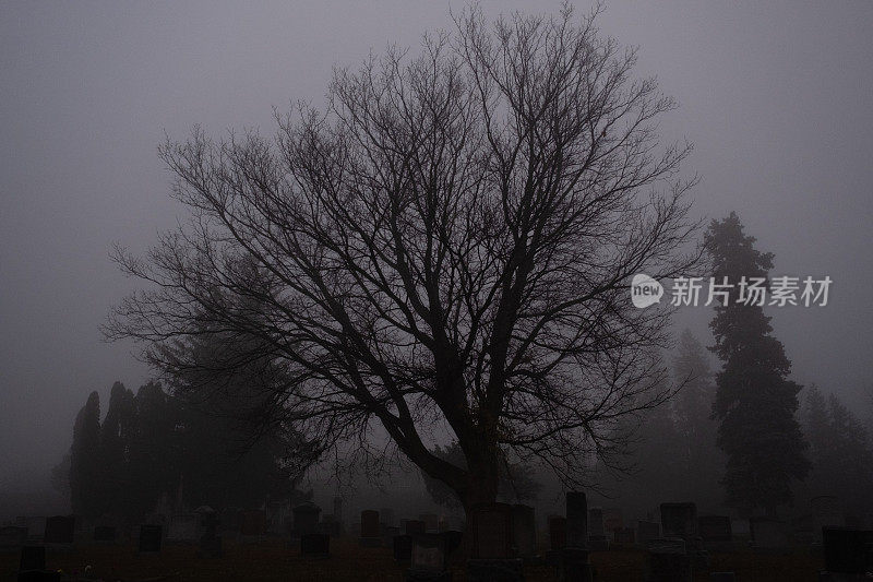 万圣节雾气诡异诡异的墓地墓地